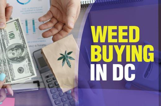 Weed Buying in DC Legacy DC