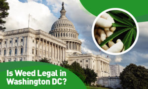 Is Weed Legal in DC