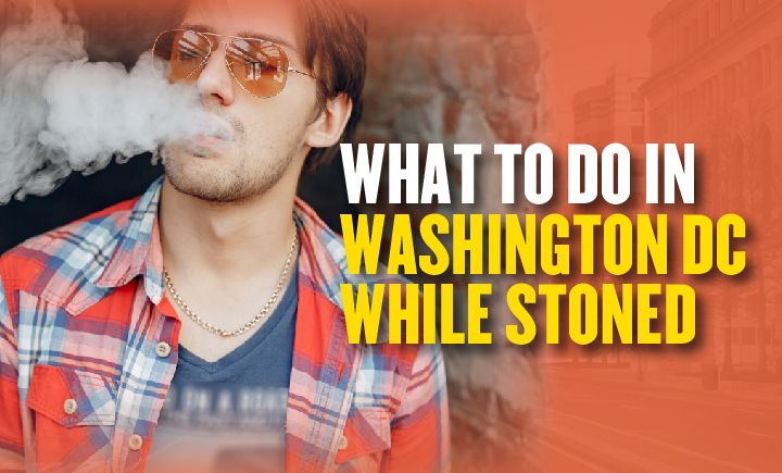 what to do in washington dc while stoned
