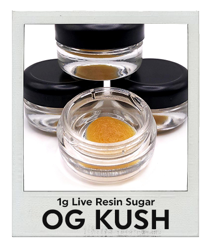 live resin sugar concentrate dc