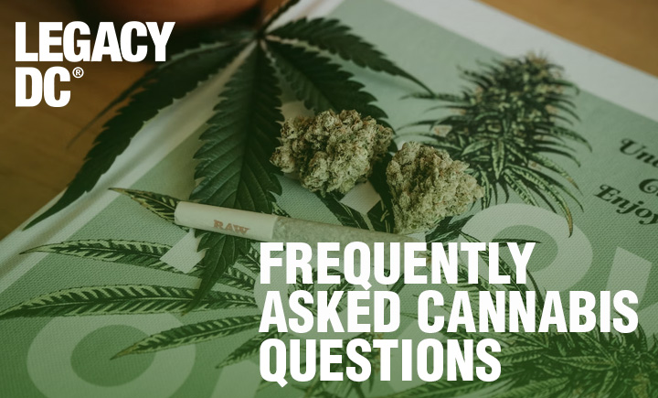 frequently asked cannabis questions