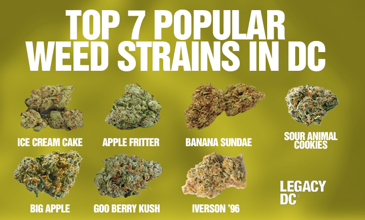 top 7 popular weed strains in dc
