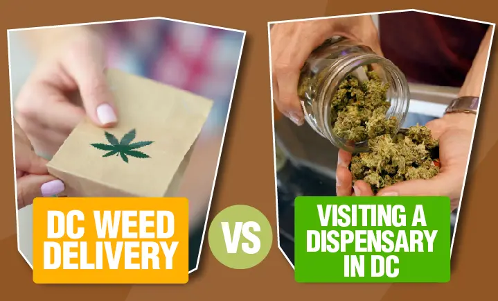 dc weed delivery vs visiting a dispensary in dc