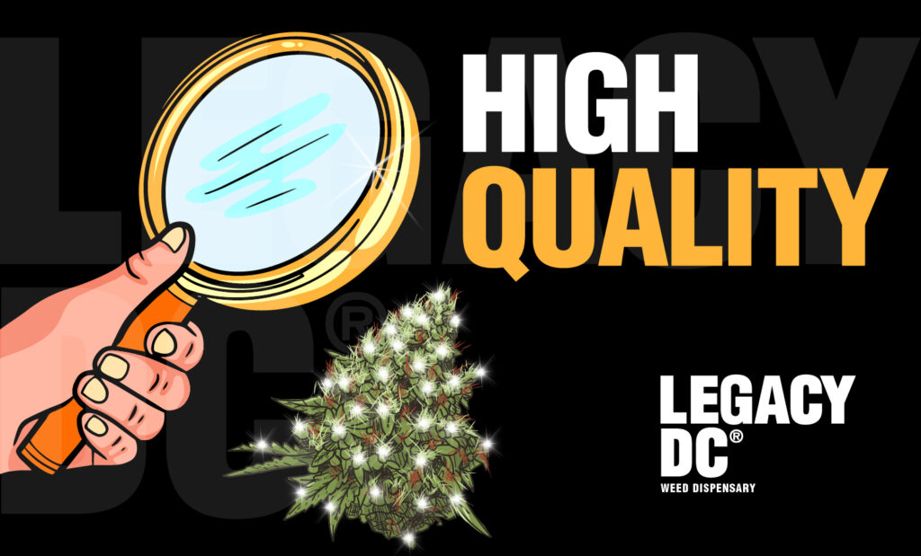 Legacy DC High Quality