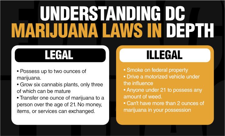 understanding dc marijuana laws in depth