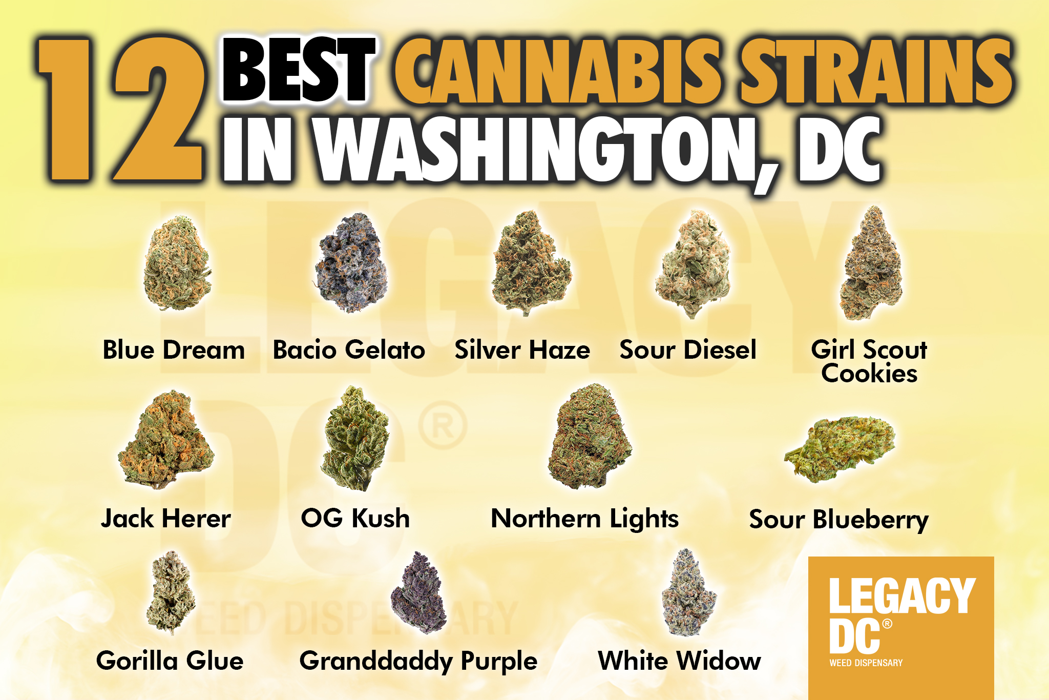 12 best cannabis strains in washington dc