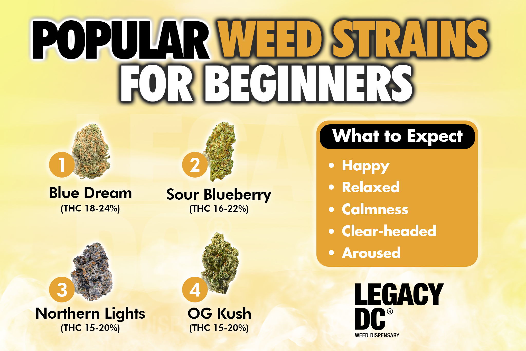 popular weed strains for beginners