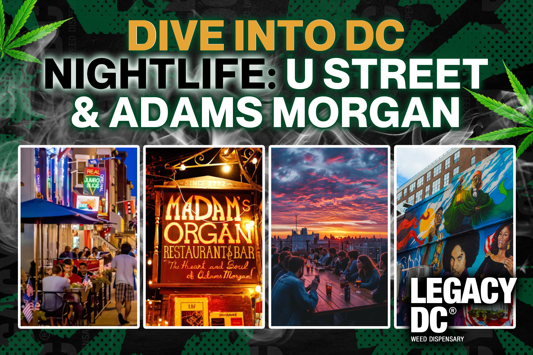 dive into dc nightlife - u street and adams morgan